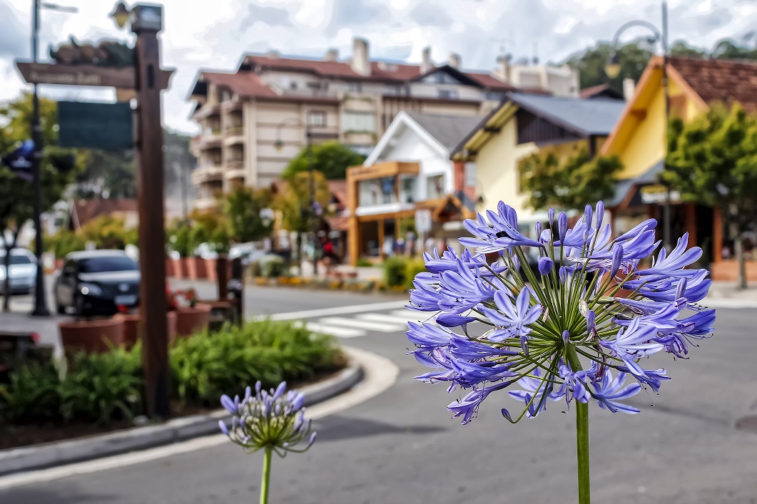 Destino tendência de 2022, os encantos de Gramado surpreende, como as flores na Avenida Borges de Medeiros e construções em estilo germânico completando o cenário